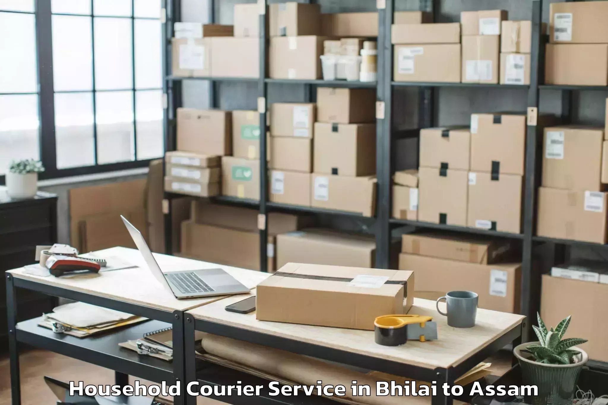 Hassle-Free Bhilai to Dibrugarh University Household Courier